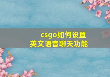 csgo如何设置英文语音聊天功能