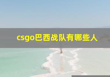 csgo巴西战队有哪些人