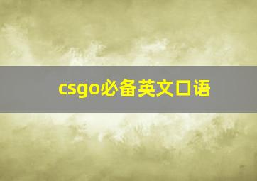 csgo必备英文口语