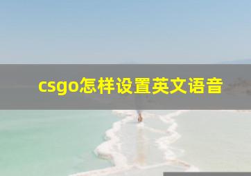 csgo怎样设置英文语音