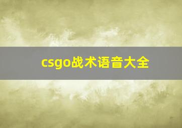 csgo战术语音大全