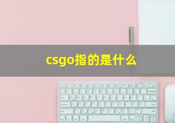 csgo指的是什么