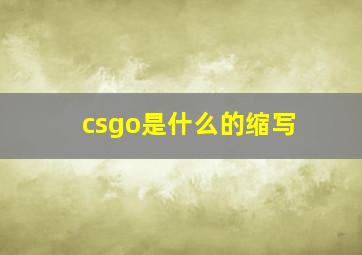 csgo是什么的缩写