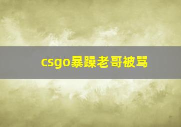 csgo暴躁老哥被骂