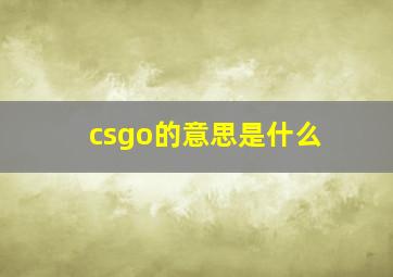 csgo的意思是什么