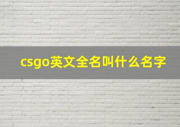 csgo英文全名叫什么名字