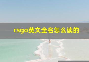 csgo英文全名怎么读的