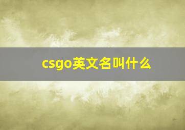 csgo英文名叫什么