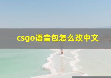 csgo语音包怎么改中文