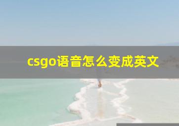 csgo语音怎么变成英文