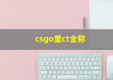 csgo里ct全称