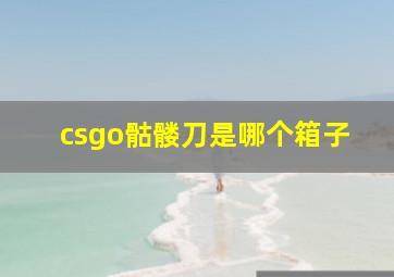 csgo骷髅刀是哪个箱子