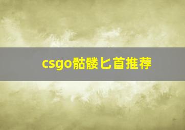 csgo骷髅匕首推荐