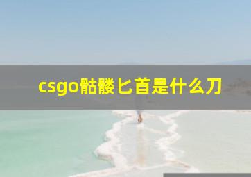 csgo骷髅匕首是什么刀