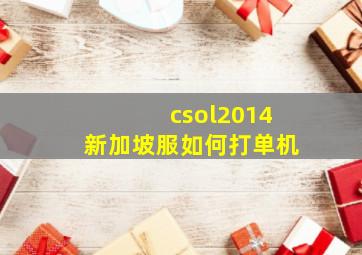 csol2014新加坡服如何打单机