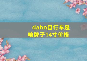 dahn自行车是啥牌子14寸价格