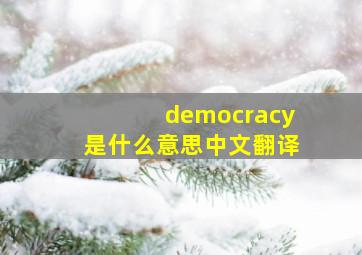 democracy是什么意思中文翻译