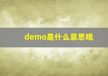 demo是什么意思哦