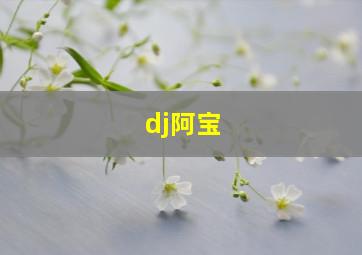 dj阿宝