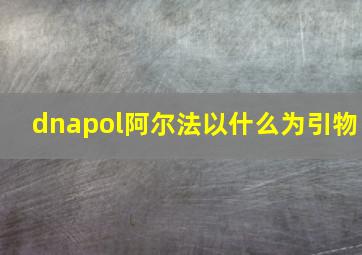 dnapol阿尔法以什么为引物