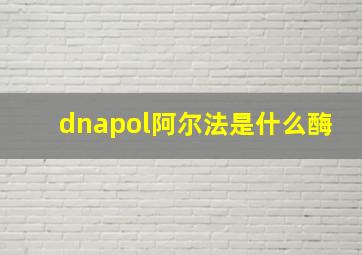 dnapol阿尔法是什么酶