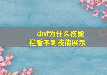 dnf为什么技能栏看不到技能展示