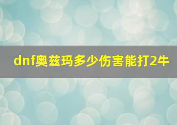 dnf奥兹玛多少伤害能打2牛