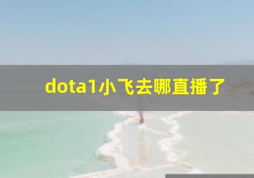 dota1小飞去哪直播了