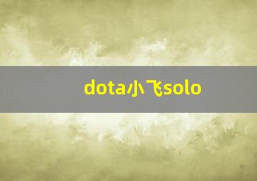 dota小飞solo