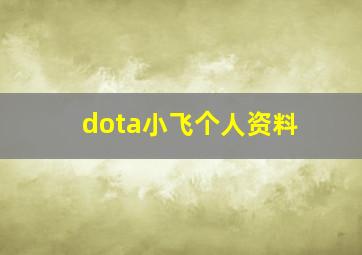 dota小飞个人资料