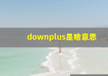 downplus是啥意思