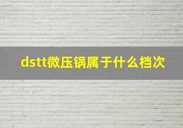 dstt微压锅属于什么档次