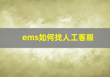 ems如何找人工客服