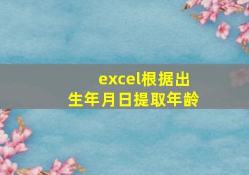 excel根据出生年月日提取年龄