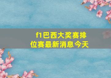 f1巴西大奖赛排位赛最新消息今天