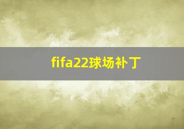 fifa22球场补丁