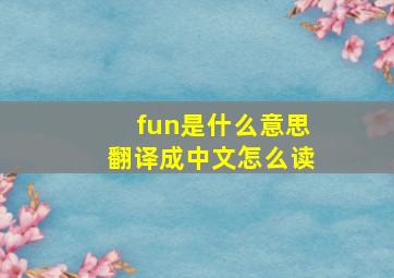 fun是什么意思翻译成中文怎么读