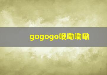 gogogo哦嘞嘞嘞