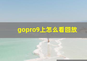 gopro9上怎么看回放