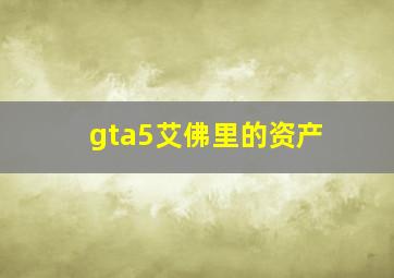 gta5艾佛里的资产