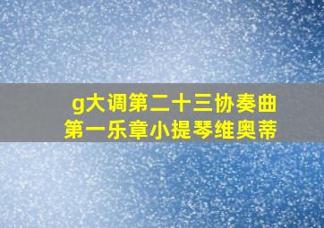 g大调第二十三协奏曲第一乐章小提琴维奥蒂