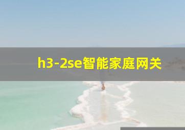 h3-2se智能家庭网关