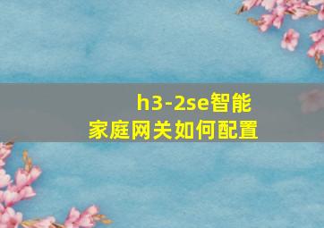 h3-2se智能家庭网关如何配置