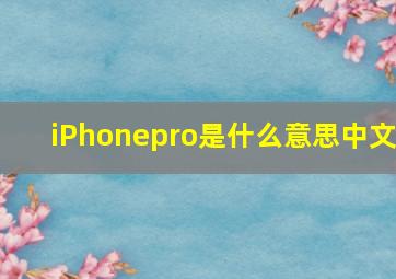 iPhonepro是什么意思中文