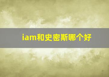 iam和史密斯哪个好