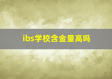 ibs学校含金量高吗