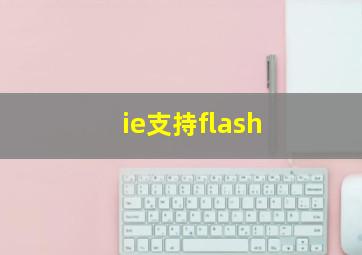 ie支持flash