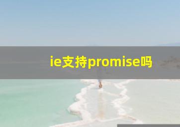 ie支持promise吗