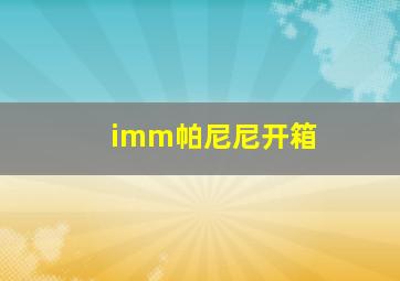 imm帕尼尼开箱