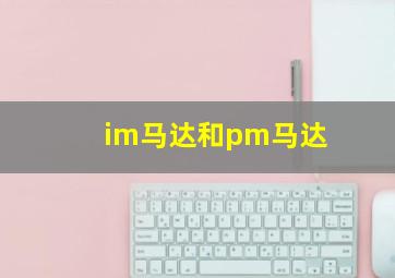 im马达和pm马达